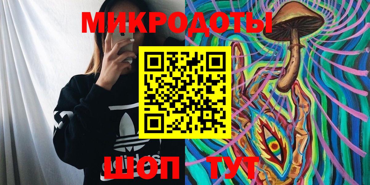 Псилоцибиновые грибы Psilocybine cubensis Сарапул