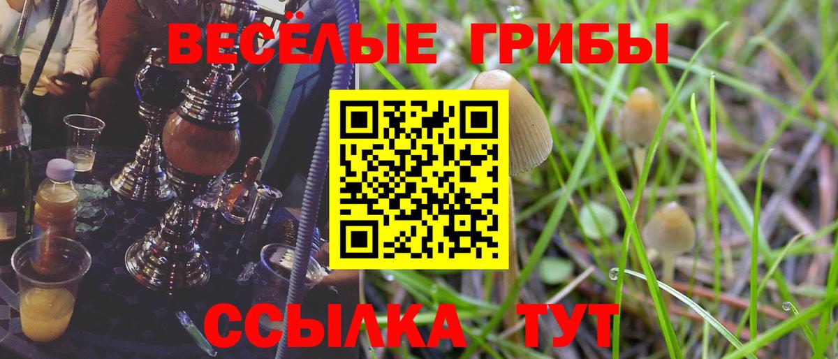 Галлюциногенные грибы мицелий  Вход с VPN  Сарапул 